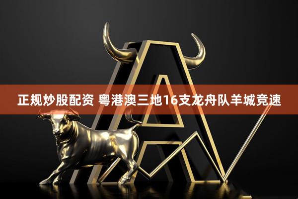 正规炒股配资 粤港澳三地16支龙舟队羊城竞速