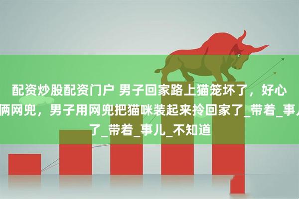 配资炒股配资门户 男子回家路上猫笼坏了，好心大姨给了俩网兜，男子用网兜把猫咪装起来拎回家了_带着_事儿_不知道